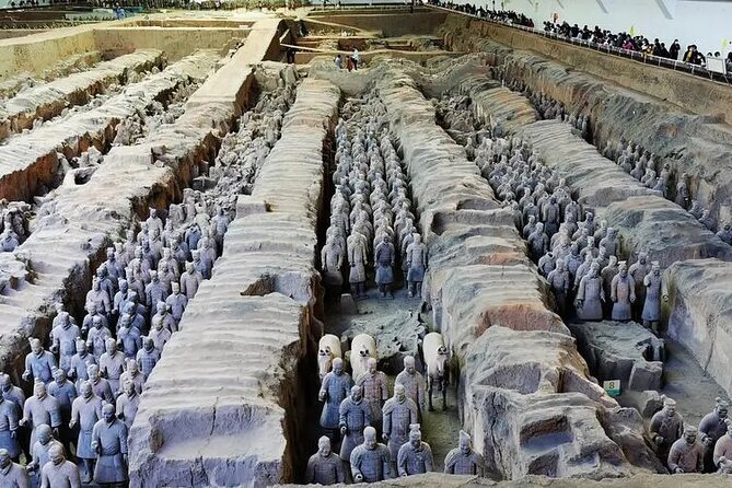 Terra-Cotta Warriors Entrance Ticket With Optional Guided Service - Wheelchair and Infant Accessibility