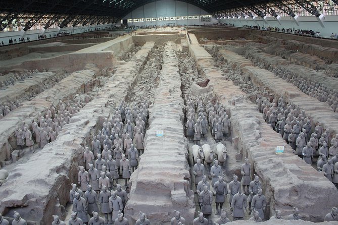 Terra-Cotta Warriors & Horses Essential Full Day Tour From Xian - Highlights of the Experience