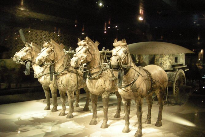 Terra-Cotta Warriors Ticket With Optional Car & Guided Service - Customer Reviews and Ratings