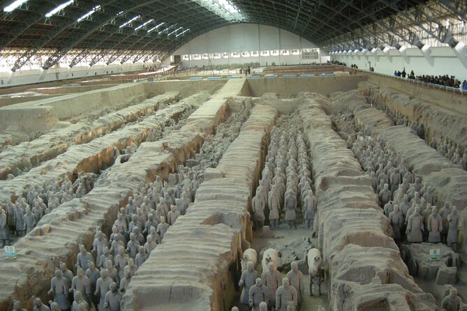 Terra-Cotta Warriors Ticket With Optional Car & Guided Service - Guided Tour Highlights