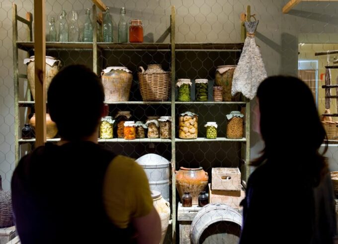 Terra Museum - Visitor Amenities and Facilities