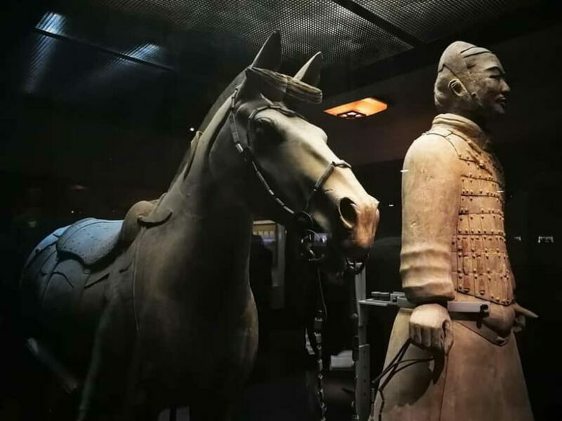 Terracotta Army E Ticket with Optional Transfer or Guide - An In-Depth Look at the Tour Experience