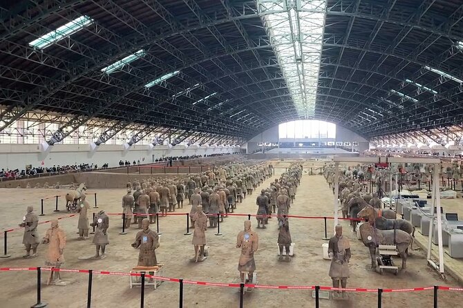 Terracotta Warriors Museum of Xian Live Virtual Tour - Meeting Point and Logistics
