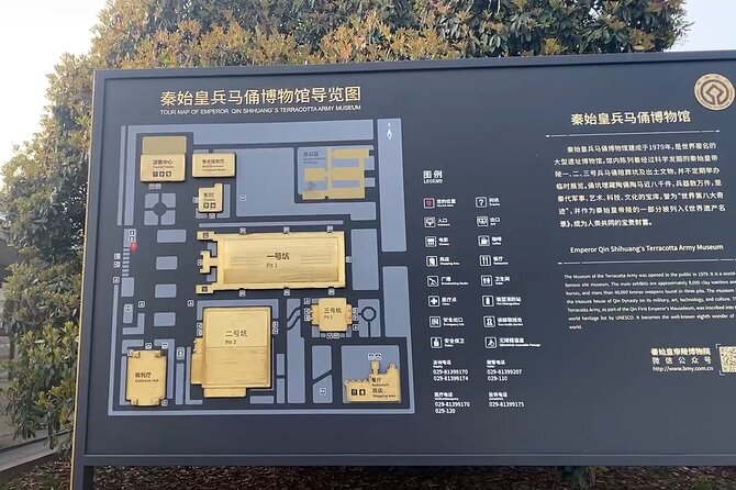 Terracotta Warriors Museum of Xian Live Virtual Tour - What to Expect