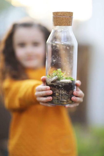 Terrarium Workshop - Key Points