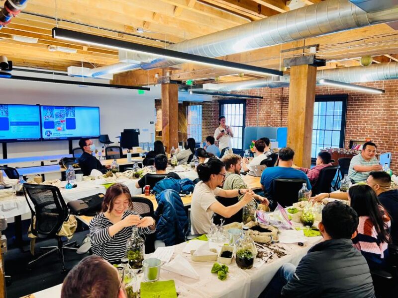 Terrarium Workshop - Learning Experience