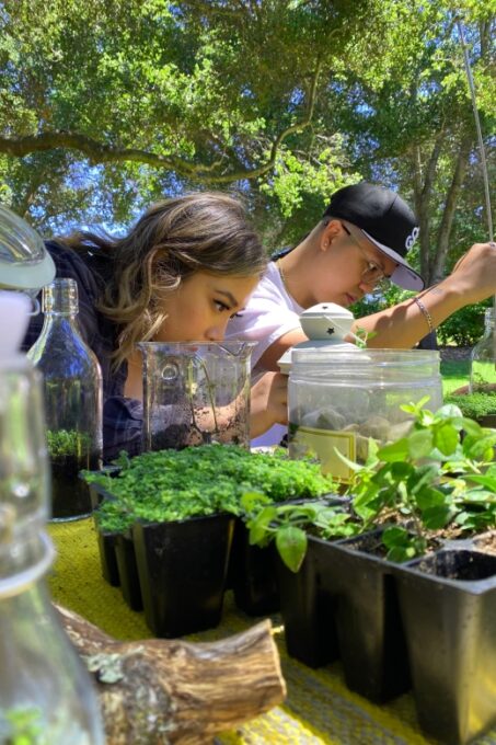 Terrarium Workshop - Terrarium Building