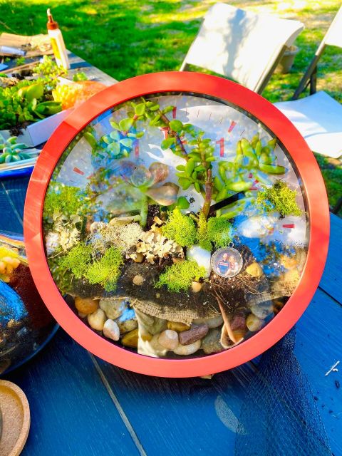 Terrarium Workshop - Booking and Cancellation