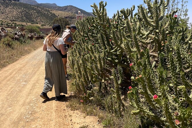 Terre D'Atlas Pottery and Nature Course in Amizmiz - Pottery Experience