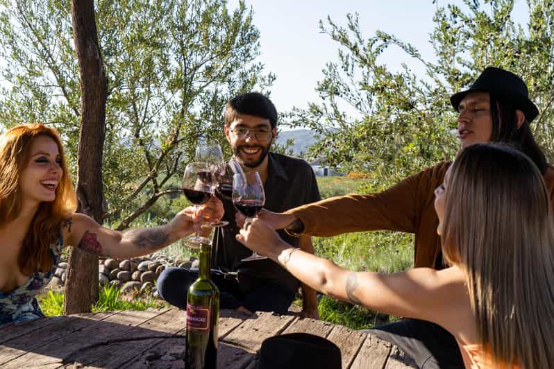 Terroir Soul: Meet the Essence of Maipú Olive Oils & Wines - Maipú Wines: Unveiling Aromatic Depths