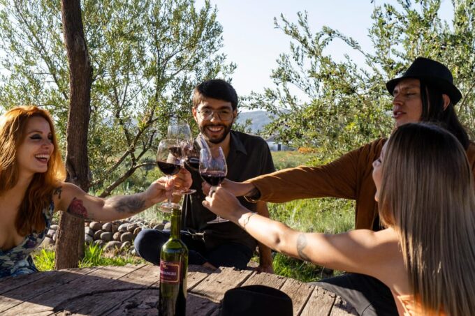 Terroir Soul: Meet the Essence of Maipú Olive Oils & Wines - Frequently Asked Questions