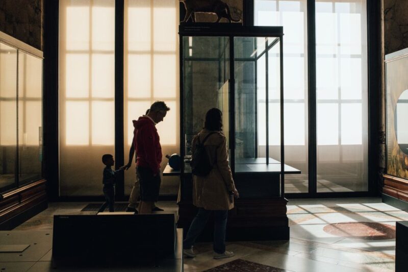 Tervuren: AfricaMuseum Entry Ticket - Museum Highlights