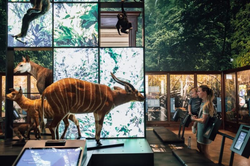 Tervuren: AfricaMuseum Entry Ticket - Accessibility and Facilities