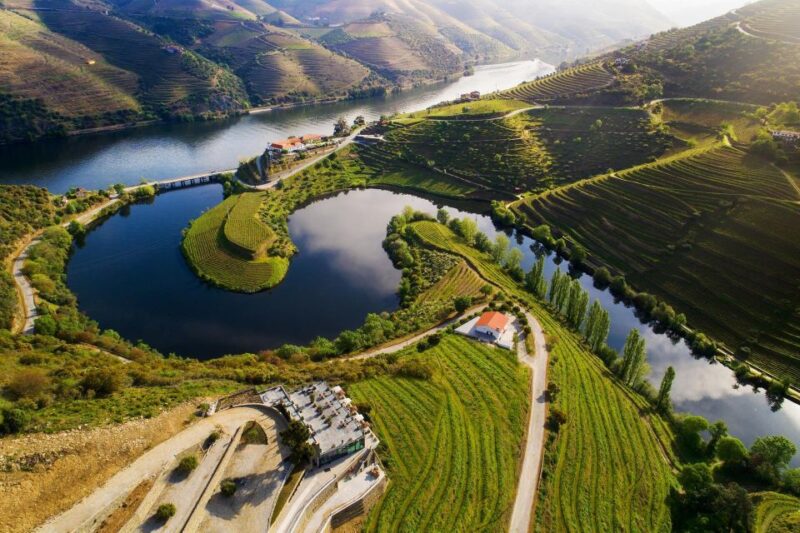 Tesla Premium Private Tours - Porto to Douro Valley - Transportation and Comfort