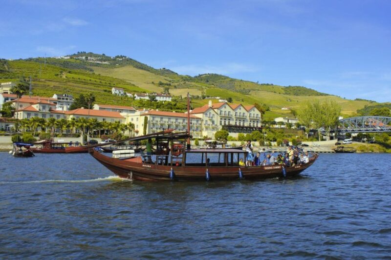 Tesla Premium Private Tours - Porto to Douro Valley - Additional Amenities