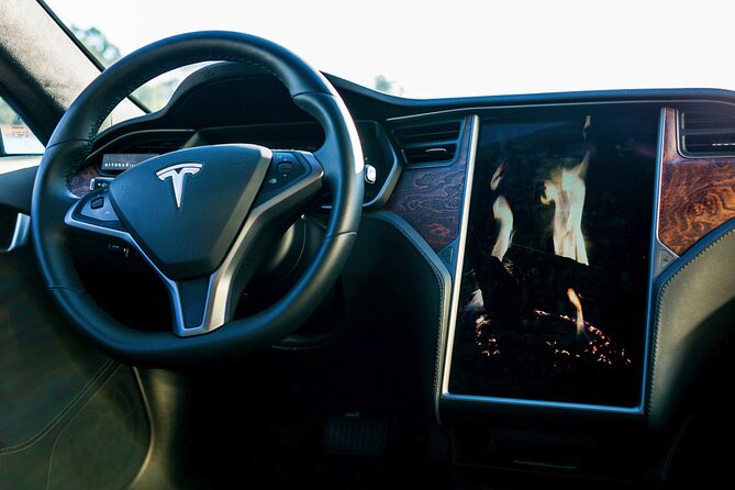 Tesla S Luxury Executive Porto Airport Transfer - Accessibility and Suitability