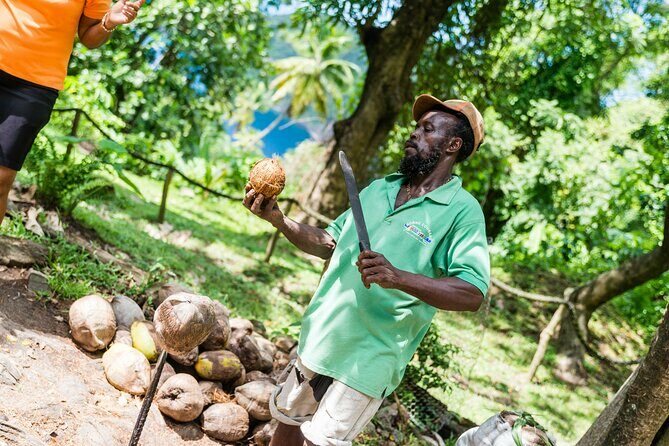 Tet Paul Hike & Soufriere Catamaran Experience - Who Would Love This Tour?