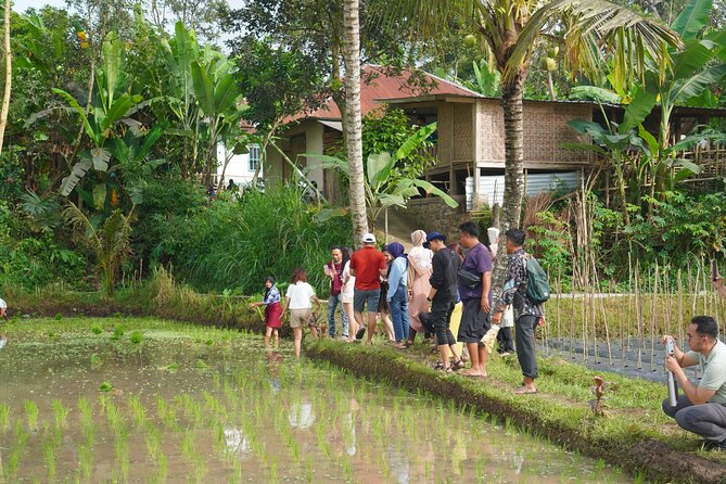 Tete Batu Tour (Temple, Terrace Rice, and Waterfalls) - Cancellation Policy