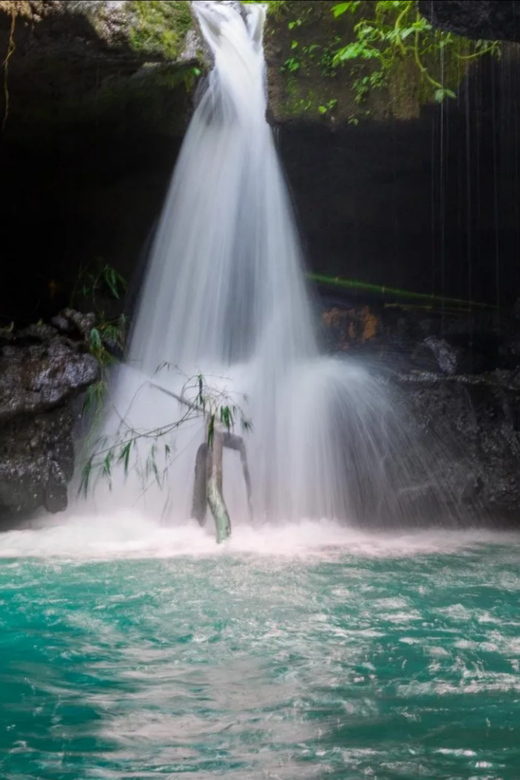 Tetebatu Cycling Tour: Ricefield, Waterfall, Monkey Forest - Key Points