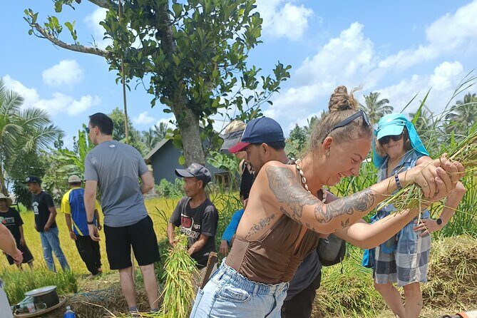 Tetebatu Guided Tour in Rice Terraces Waterfall and Monkey Forest - FAQ