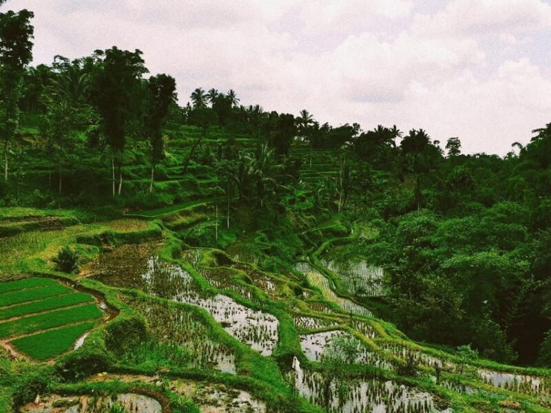 Tetebatu Ona Day Trip - Preparation and Contact