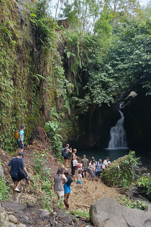 Tetebatu : Ricefield, Monkey Forest & Waterfall Tour - Itinerary Highlights