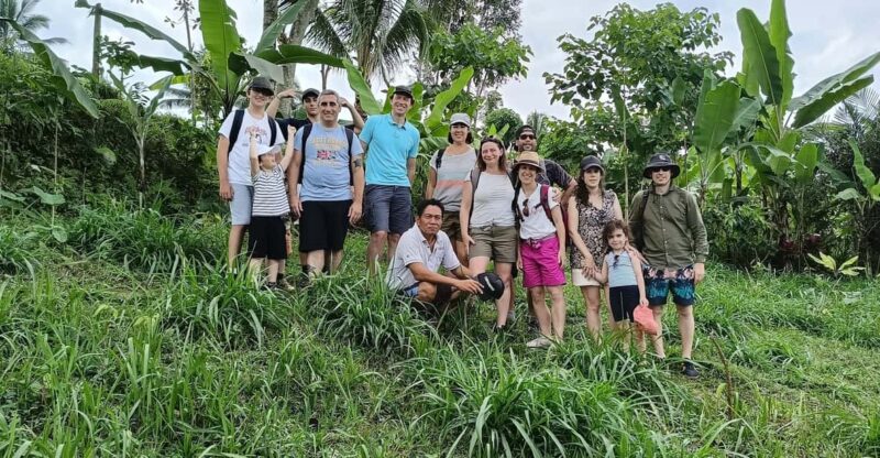 Tetebatu : Ricefield, Monkey Forest & Waterfall Tour - Scenic Rice Field Walk