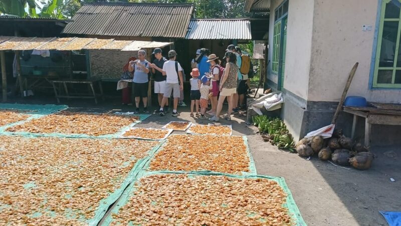 Tetebatu : Ricefield, Monkey Forest & Waterfall Tour - Cultural Immersion Activities