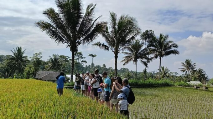 Tetebatu : Ricefield, Monkey Forest & Waterfall Tour - Booking Information and Reviews