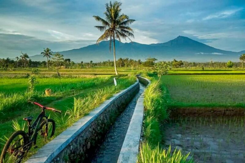Tetebatu Soft Trekking - Pickup Location