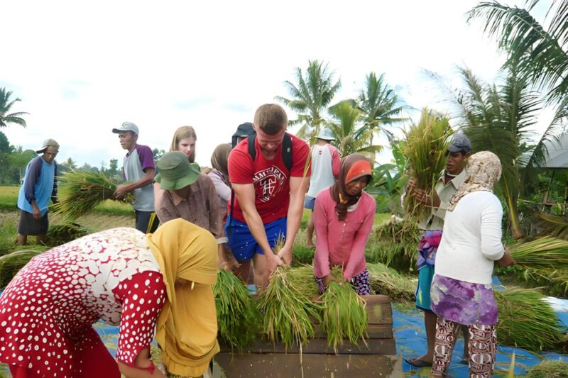 Tetebatu Tour : Rice Terraces, Waterfall & Monkey Forest - Key Points