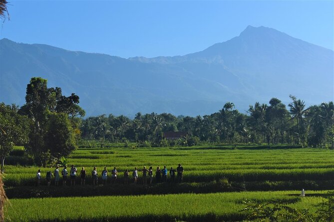 Tetebatu Trekking & Camping Trip 2D1N To The Jungle - Good To Know