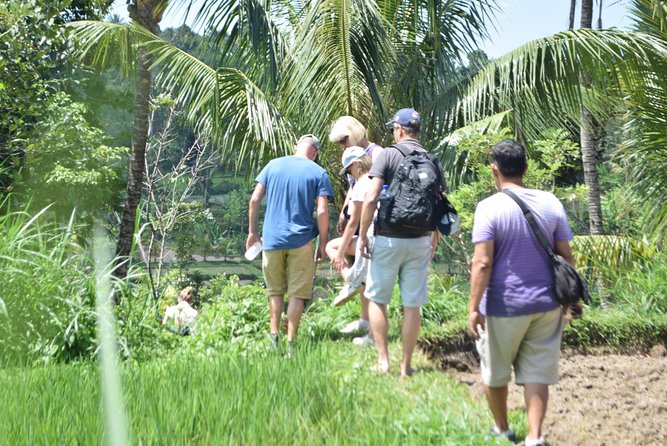Tetebatu Walking Tour - Rice Terraces, Waterfall & Monkey Forest - Highlights of the Tour Itinerary