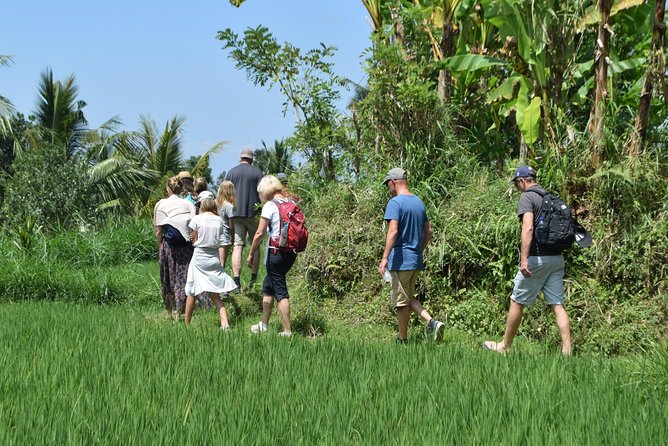 Tetebatu Walking Tour - Rice Terraces, Waterfall & Monkey Forest - Encounter With the Monkey Forest