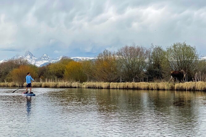 Teton River Paddleboard Adventure - 4.5 Miles - Convenient Shuttle Service Provided