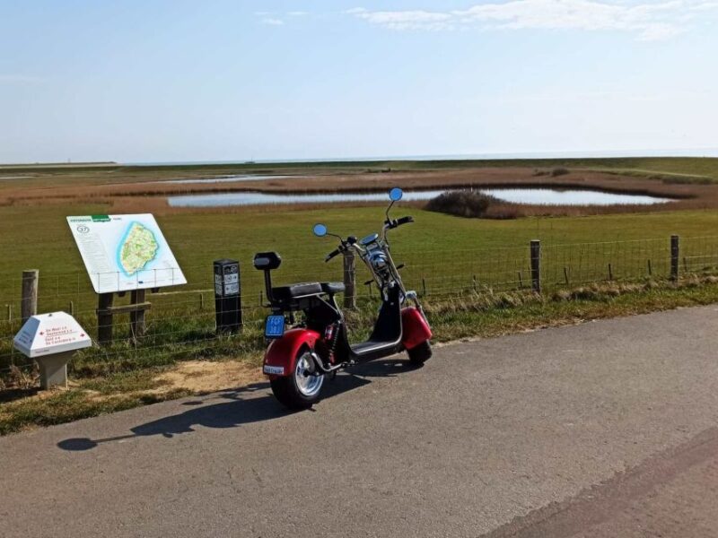 Texel: E-Scooter Rental - Texel Cruiser Features