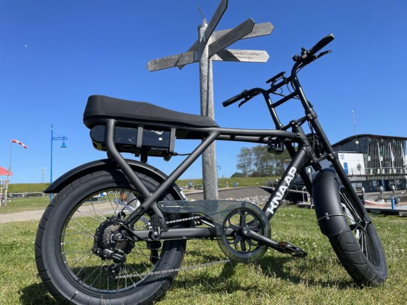 Texel: Electric Fatbike Rental - Key Points