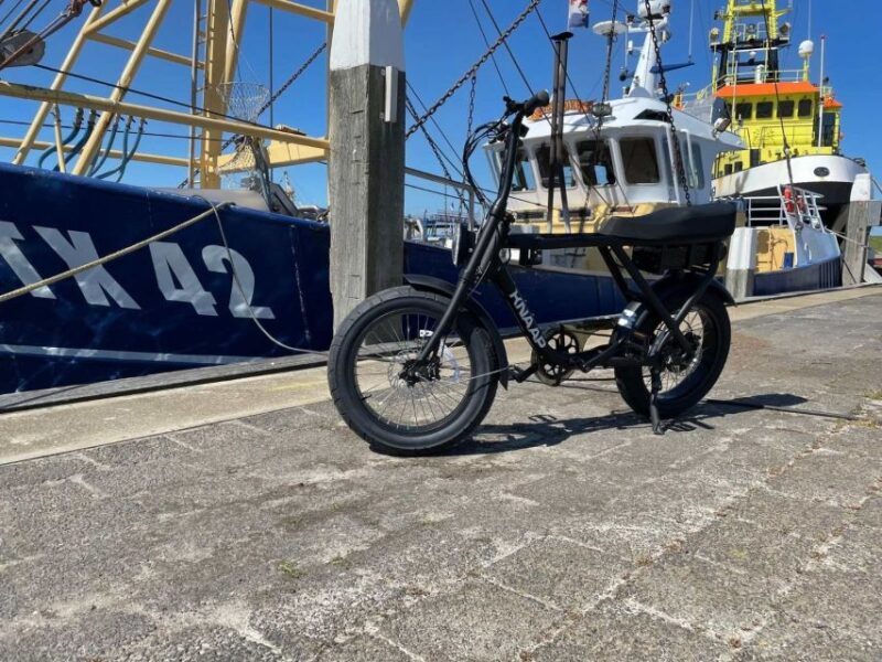 Texel: Electric Fatbike Rental - Eco-friendly Transportation