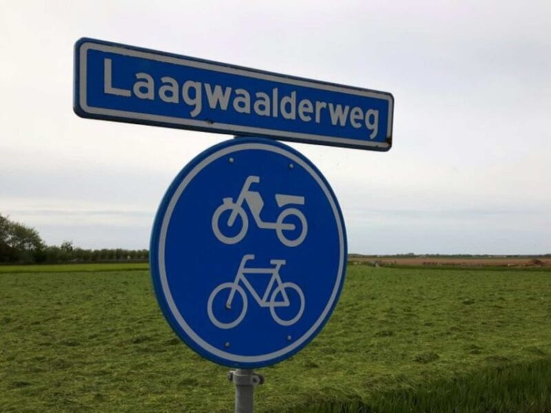 Texel: Electric Fatbike Rental - Customer Experiences and Ratings