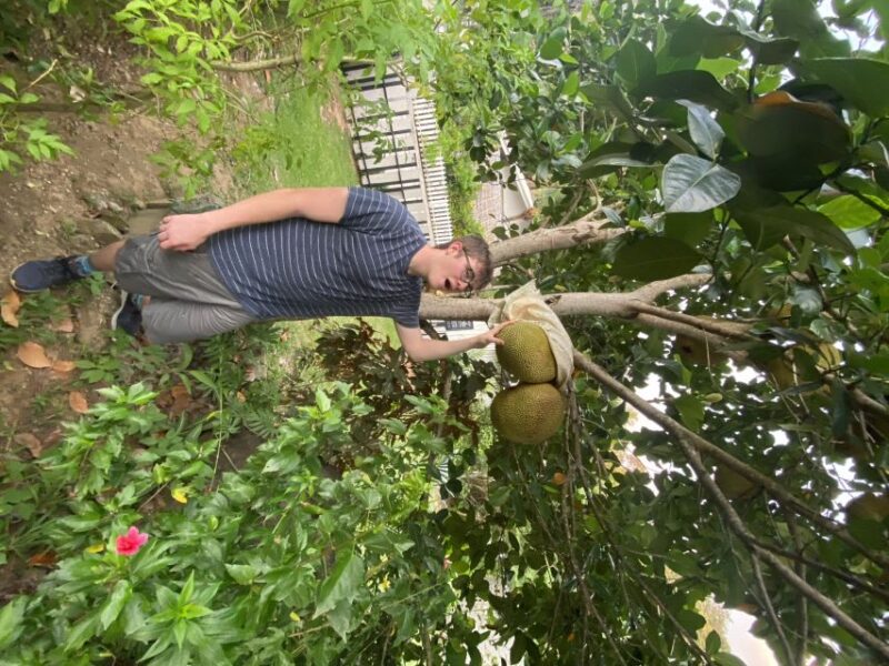 Thai Cooking Class With Market Tour Garden Tour - Key Points
