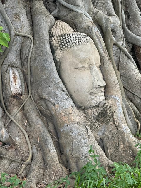 Thailand: Customizable Guided Tour With a Local Guide. - Culinary Experiences