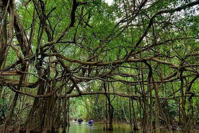 Thailand Nature & Culture Tour With Lunch - Khao Lak Elephant Sanctuary and Waterfall