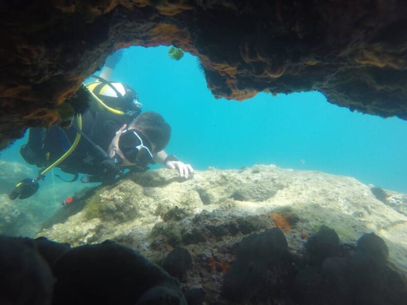 Thasos: Introductory Scuba Diving Expereince - Pricing and Duration