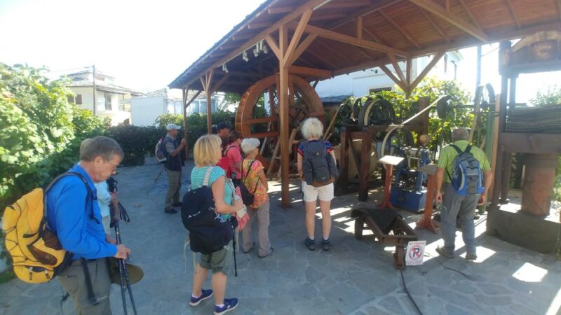 Thassos Island : Herbal Hike With Panorama Views - Scenic Features