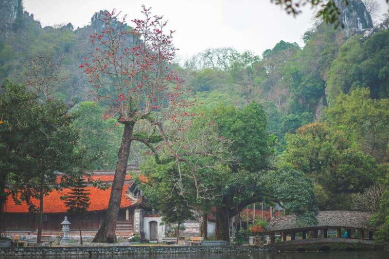 Thay Pagoda – Duong Lam Ancient Village 1 Day Private Trip. - Tour Overview and Pricing