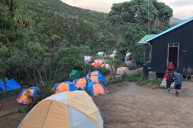 The 6 Days Kilimanjaro Climbing Tour via Machame Route in /25 - Confirmation and Accessibility