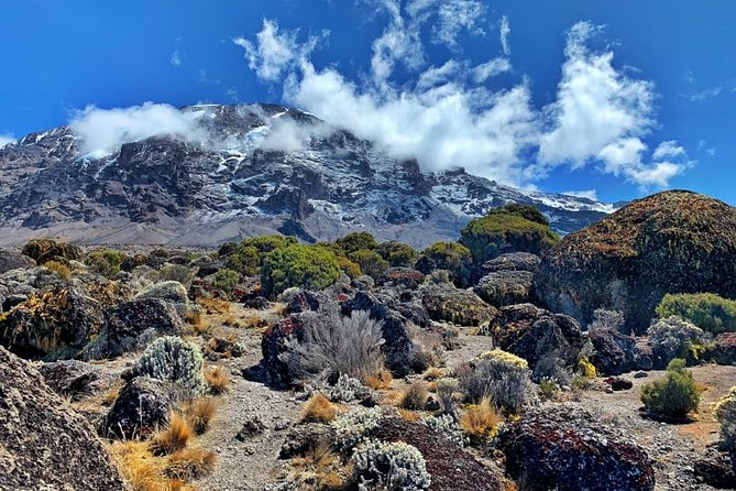 The 6 Days Kilimanjaro Climbing Tour via Machame Route in /25 - Additional Information