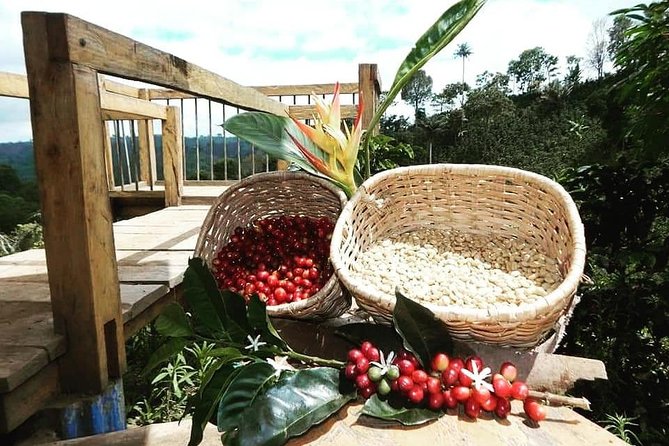 The Acacias Coffe Farm - Inclusions and Amenities