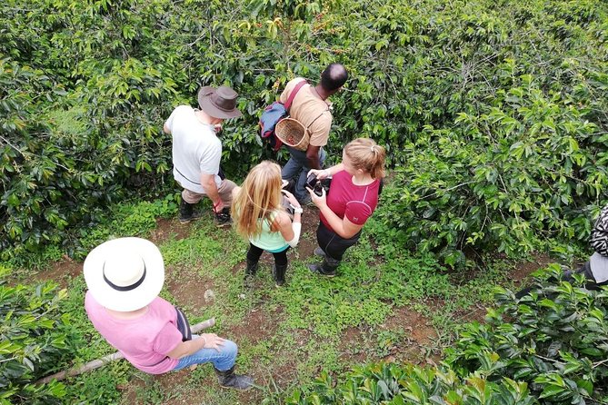 The Acacias Coffe Farm - Meeting and End Point