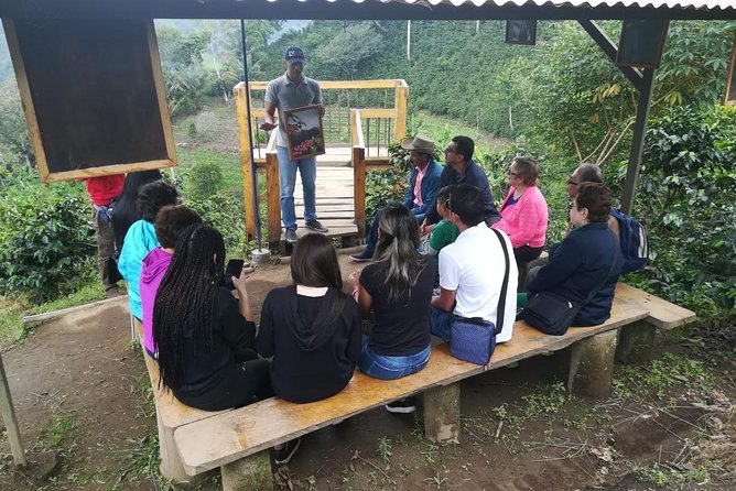 The Acacias Coffe Farm - Tasting the Harvest